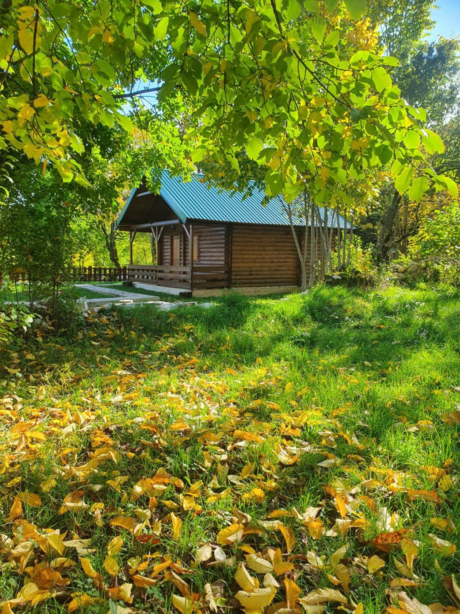 Cabin House Dubovik Cetinje Bagian luar foto
