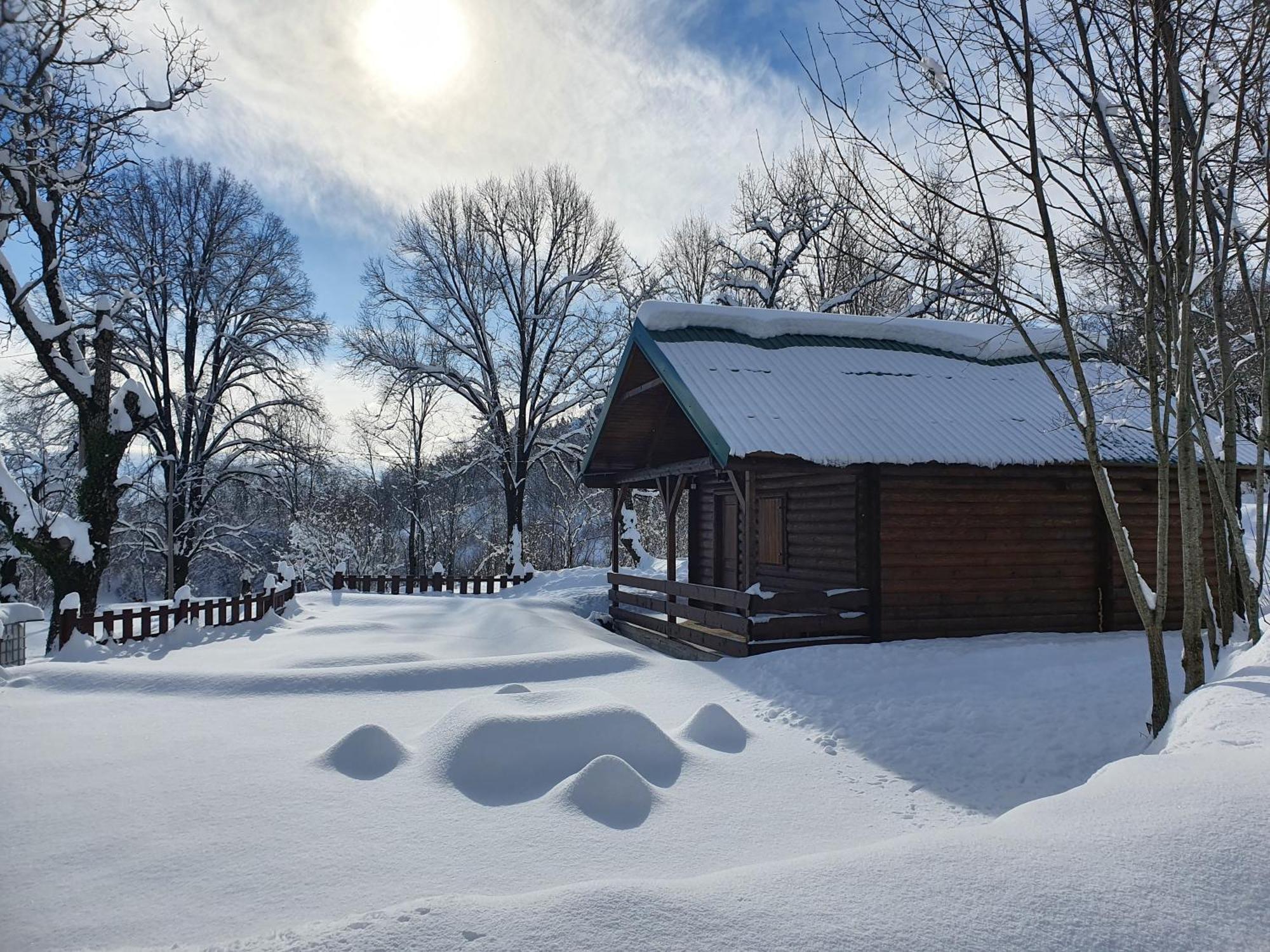 Cabin House Dubovik Cetinje Bagian luar foto